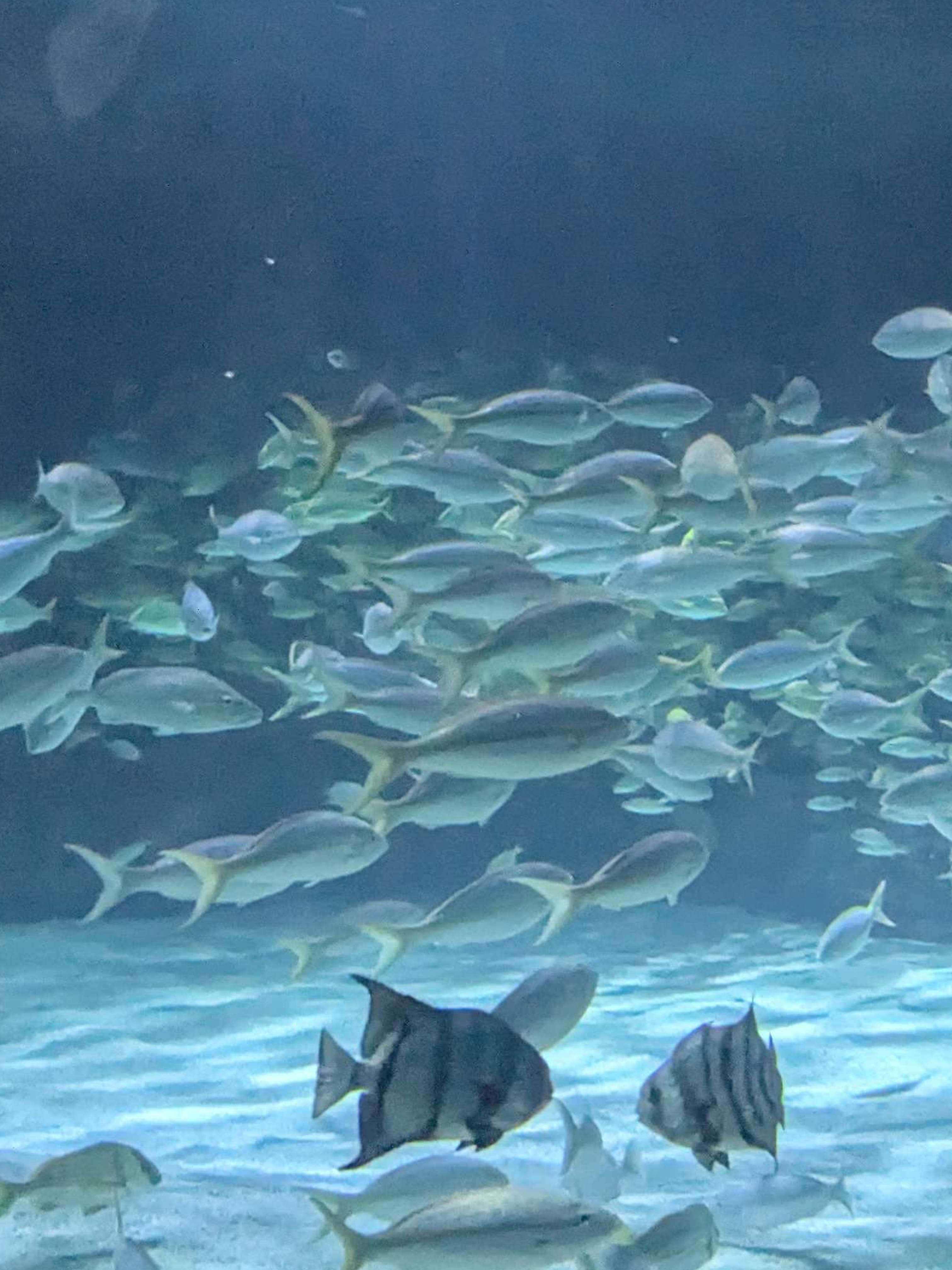 Third profile photo placeholder