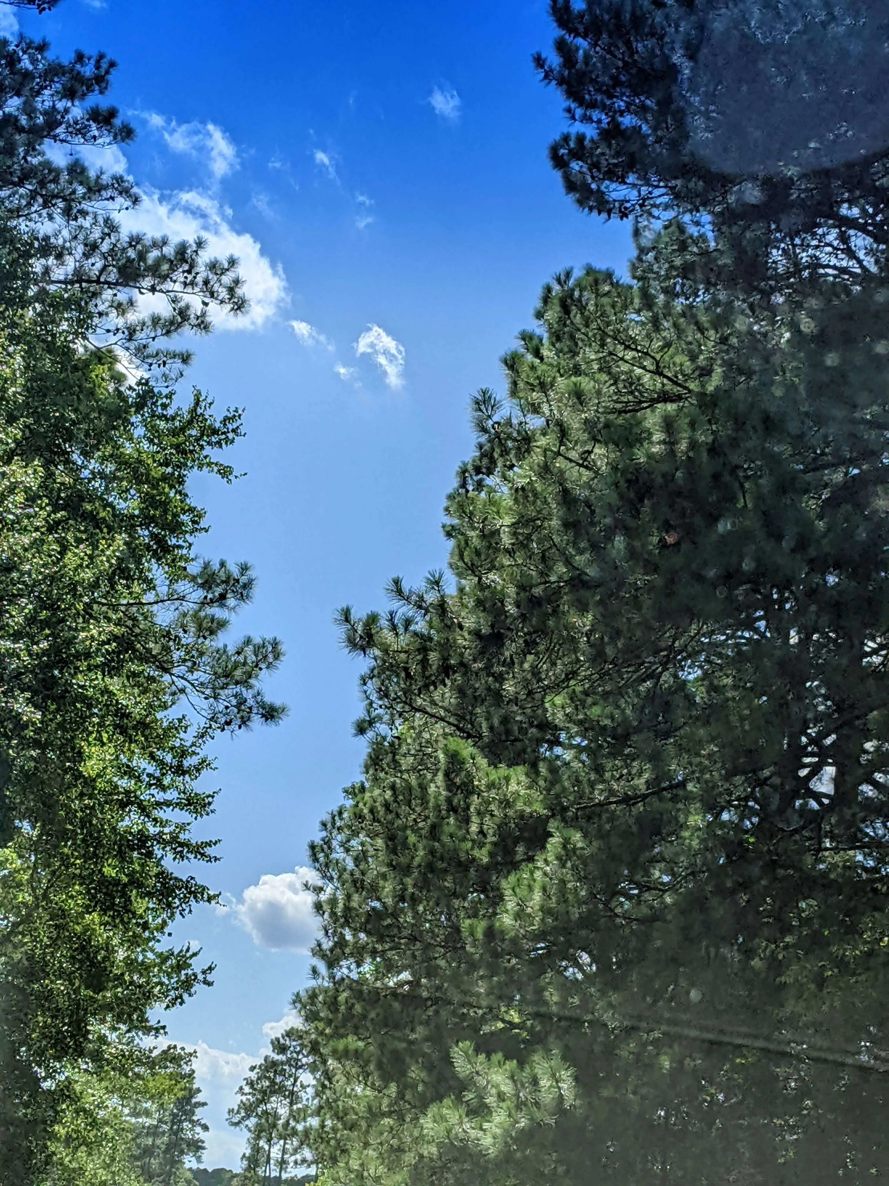 Secondary profile photo placeholder